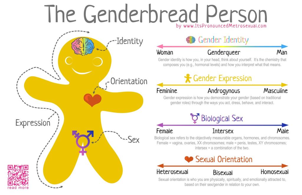 Genderbread Person Image  which features a gingerbread person and 4 'scales' which look at Gender Identity, Gender Expression, Biological Sex and Sexual Orientation. 